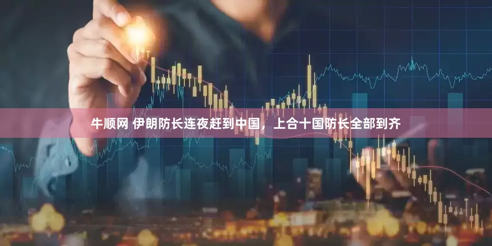 牛顺网 伊朗防长连夜赶到中国，上合十国防长全部到齐
