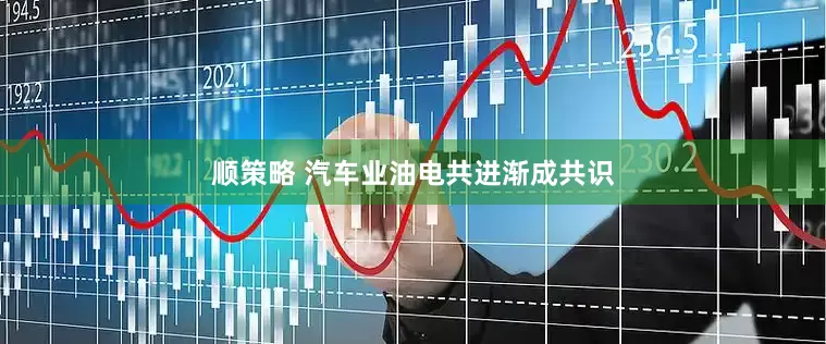 顺策略 汽车业油电共进渐成共识