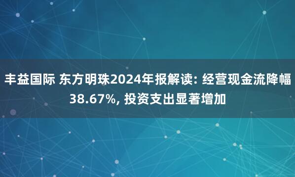 丰益国际 东方明珠2024年报解读: 经营现金流降幅38.67%, 投资支出显著增加