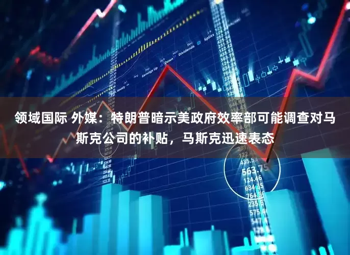 领域国际 外媒：特朗普暗示美政府效率部可能调查对马斯克公司的补贴，马斯克迅速表态