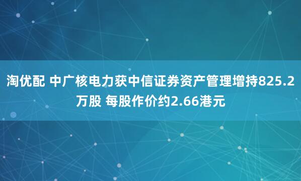 淘优配 中广核电力获中信证券资产管理增持825.2万股 每股作价约2.66港元