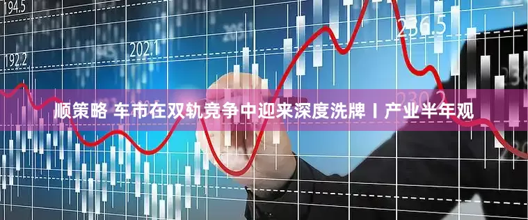 顺策略 车市在双轨竞争中迎来深度洗牌〡产业半年观