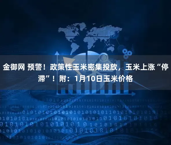 金御网 预警！政策性玉米密集投放，玉米上涨“停滞”！附：1月10日玉米价格